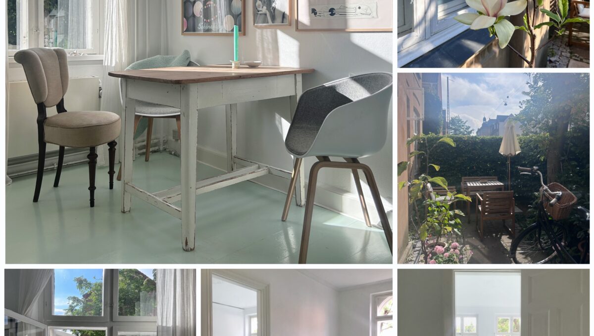 collage_export_CBBAE0D8-2567-4BAD-B067-3B30998D4008_VSCO