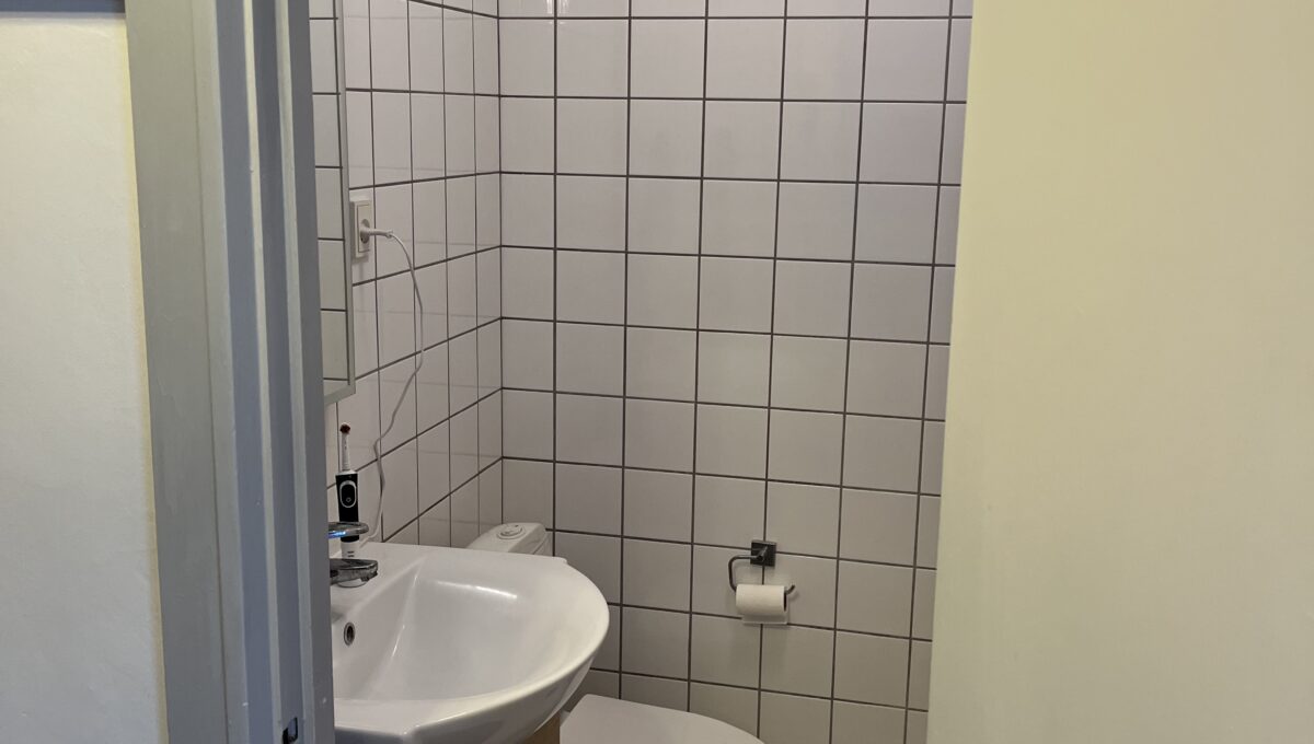 Badeværesle 2